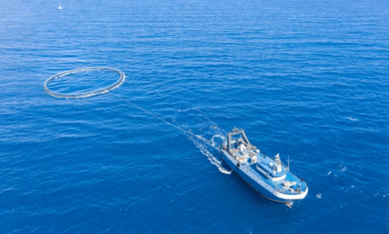 marine project update