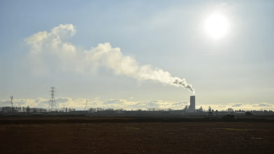 Record High Greenhouse Gas Levels Record High Greenhouse Gas Levels