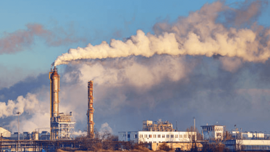 Solar and Wind Power Overtake Fossil Fuels Solar and Wind Power Overtake Fossil Fuels