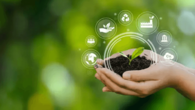 Sustainable Living Tips 2026 Sustainable Living Tips