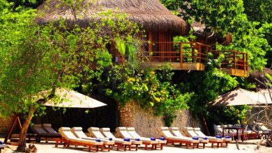 Top Travel Trends 2025: From AI Itineraries to Eco-Stays