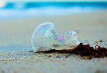 How to Reduce Pollution at Personal & Community Level