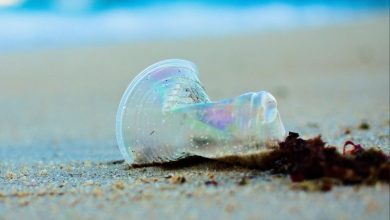 How to Reduce Pollution at Personal & Community Level