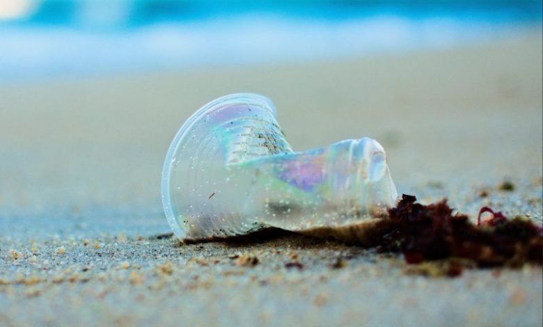 How to Reduce Pollution at Personal & Community Level