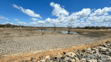 Water Scarcity Water Scarcity