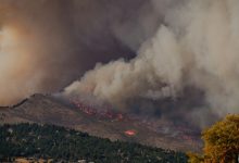 wildfire season worldwide