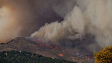 wildfire season worldwide