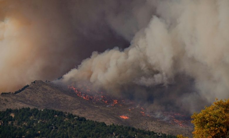 wildfire season worldwide