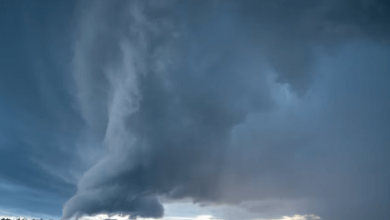 Bay of Bengal Cyclone Alert Bay of Bengal Cyclone Alert