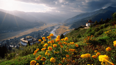 Bhutan agroforestry Bhutan agroforestry