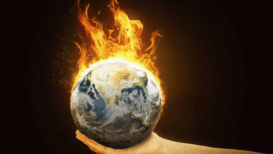 Climate Emergency Climate Emergency