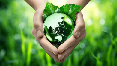 Eco Friendly Practices Eco-Friendly Practices