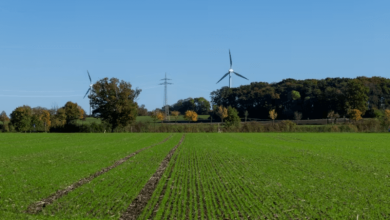 Eco Friendly Rural Prosperity Eco-Friendly Rural Prosperity