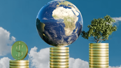 Harmful Investment Impact Harmful Investment Impact