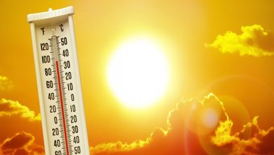 Heat Linked to Drug Resistant Infections New Study Warns Drug-Resistant Infections