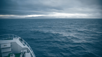 High Seas Treaty High Seas Treaty