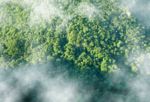 How Nations Set Climate Paths How Nations Set Climate Paths