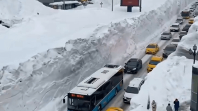 Kamchatka Snowfall Kamchatka Snowfall