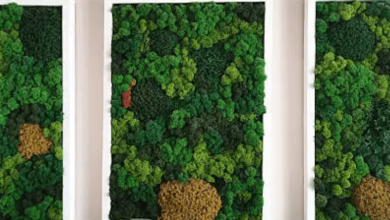 Moss Art Cork Panels Moss Art Cork Panels