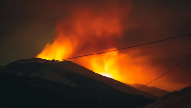 Record Wildfire Damage Record Wildfire Damage
