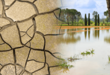 Tropical Record Heat and Flooding Tropical Record Heat and Flooding