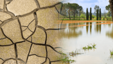 Tropical Record Heat and Flooding Tropical Record Heat and Flooding