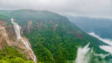 UNEP Nature Destruction Report UNEP Nature Destruction Report