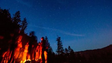 Why Davos 2026 Is Being Called One of the Most Critical Summits in Years Why Davos 2026 Is Being Called One of the Most Critical Summits in Years