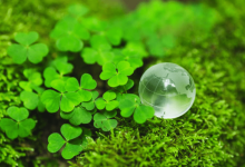 image 800x533 67 Eco Design Electronics