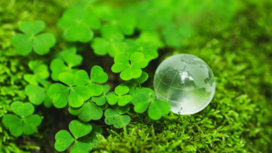 image 800x533 67 Eco Design Electronics