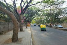 Bengaluru tree loss Bengaluru tree loss