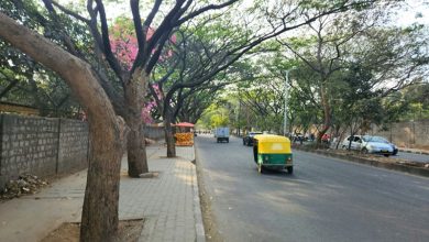 Bengaluru tree loss Bengaluru tree loss