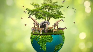 Biodiversity Conservation Biodiversity Conservation