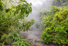 Biodiversity Hotspots Biodiversity Hotspots