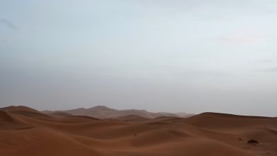 Cairo PM Surge Cairo PM Surge