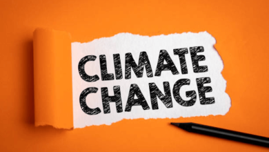 Climate change action sources Climate change action sources