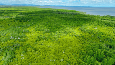 Ecological Restoration Planetary Protection Ecological Restoration Planetary Protection