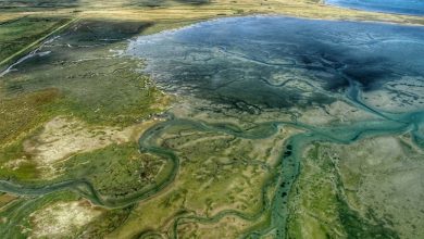 Fertilizer Pollution Fertilizer Pollution