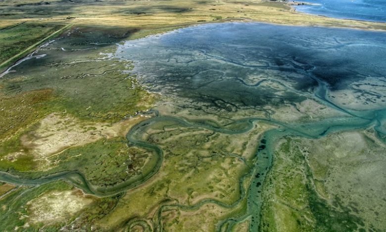 Fertilizer Pollution Fertilizer Pollution