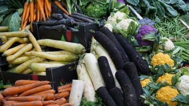 Food Systems And Emissions Food Systems And Emissions