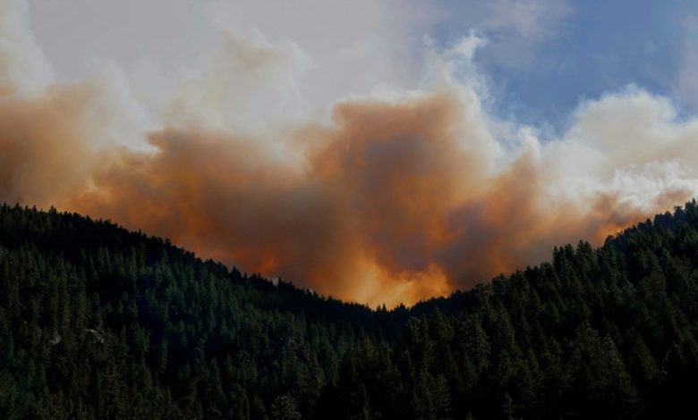 Forest Fire Forest Fire Threat