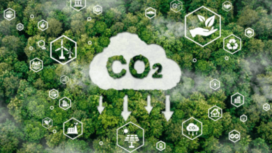 Free CO₂ Permits Free CO₂ Permits