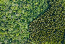 Global Biodiversity Loss Global Biodiversity Loss