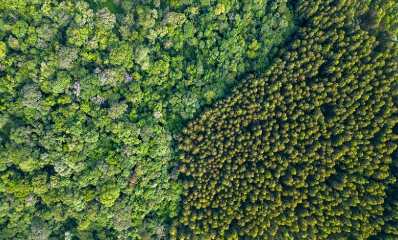 Global Biodiversity Loss Global Biodiversity Loss