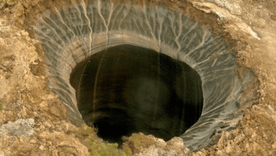 Methane Release From Frozen Soil Methane Release From Frozen Soil