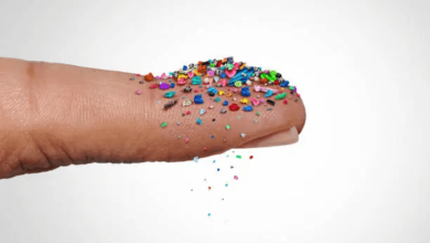 Microplastics exposure Microplastics exposure