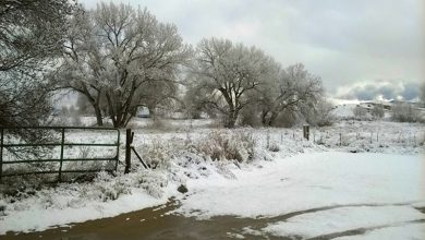 NW New Mexico winter storm alert NW New Mexico winter storm alert