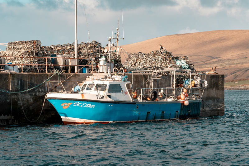Ocean Recovery Overfishing & Ocean Recovery: Can Fisheries Rebuild Fast?