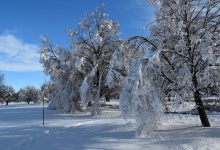 Snow Storm Snow Storm