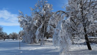 Snow Storm Snow Storm